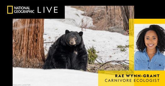 Rae Wynn-Grant: The Secret Life of Bears