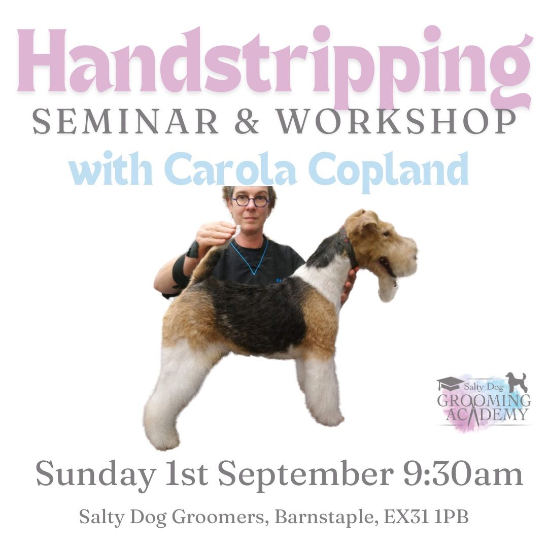 Handstrip Seminar & Workshop 
