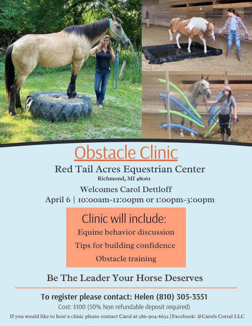 Obstacle Clinic