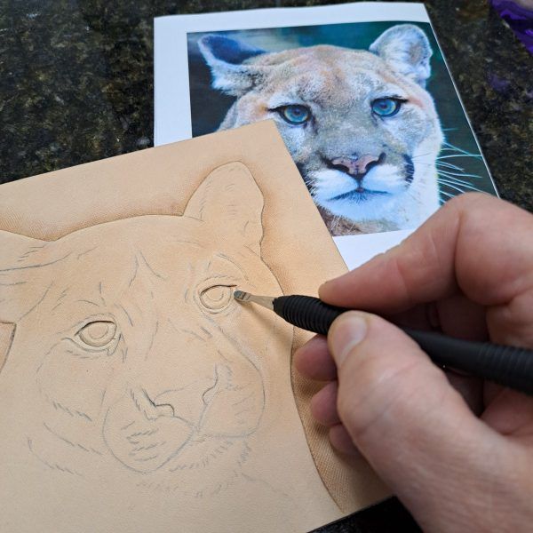 Tooled Leather Mountain Lion Part 1 with Deb Mackie 10\/5\/24