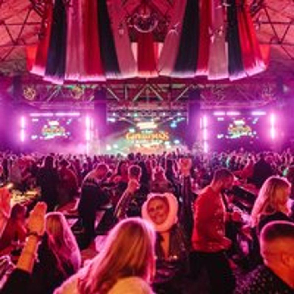 Bingo Lingo - Christmas Special - Daytime Session