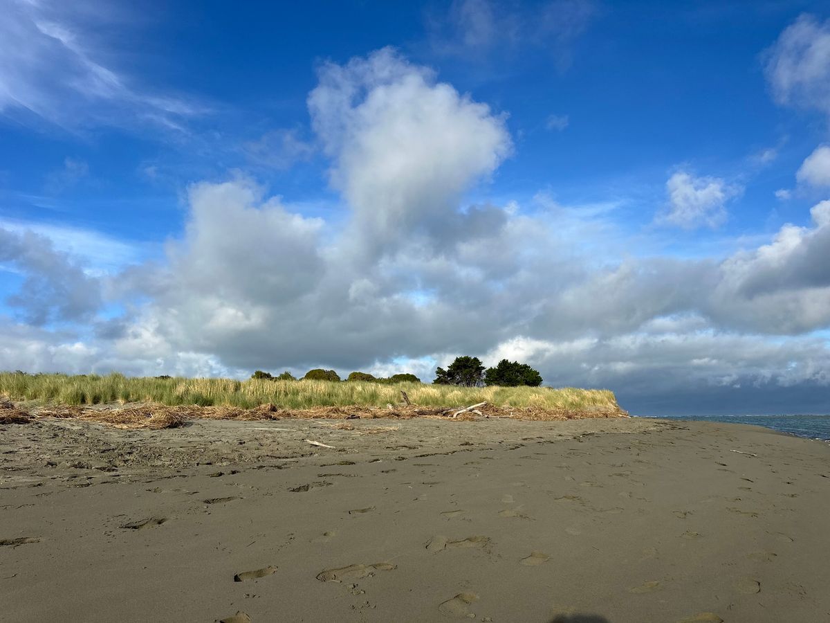 Walk the Talk - Southshore Estuary