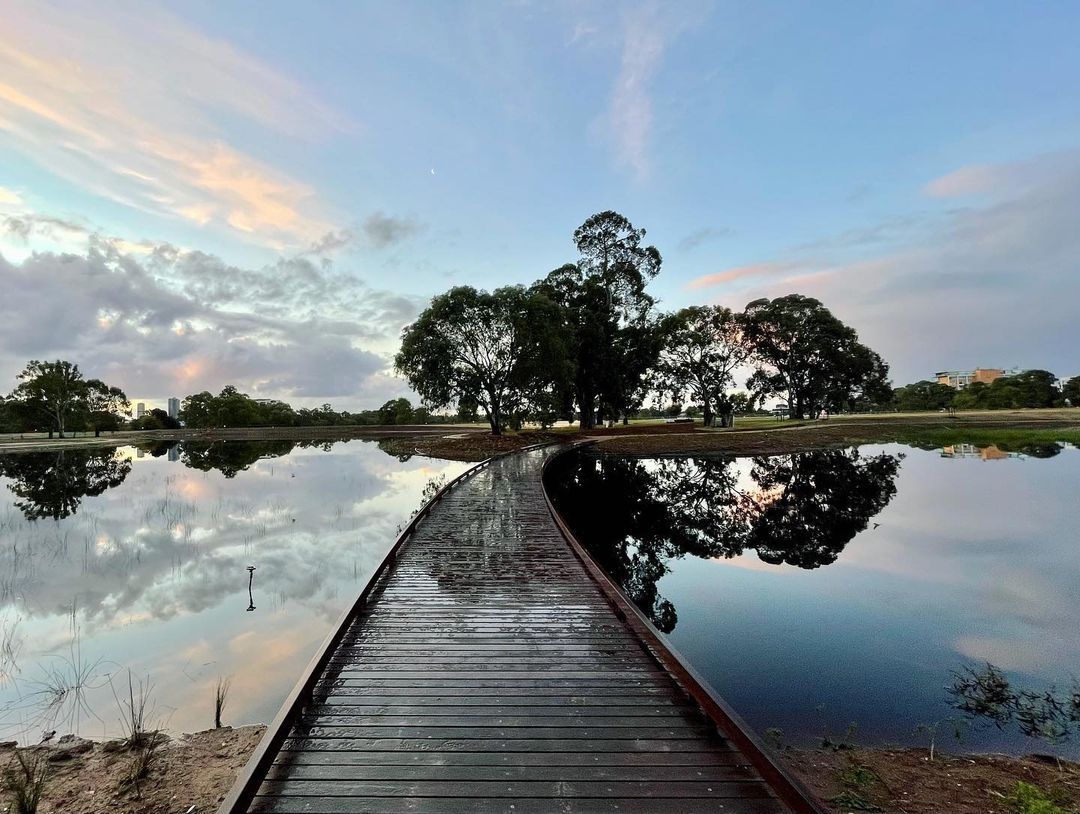 Guided Walk thru southern half of Victoria Park \/ Pakapakanthi (Park 16)