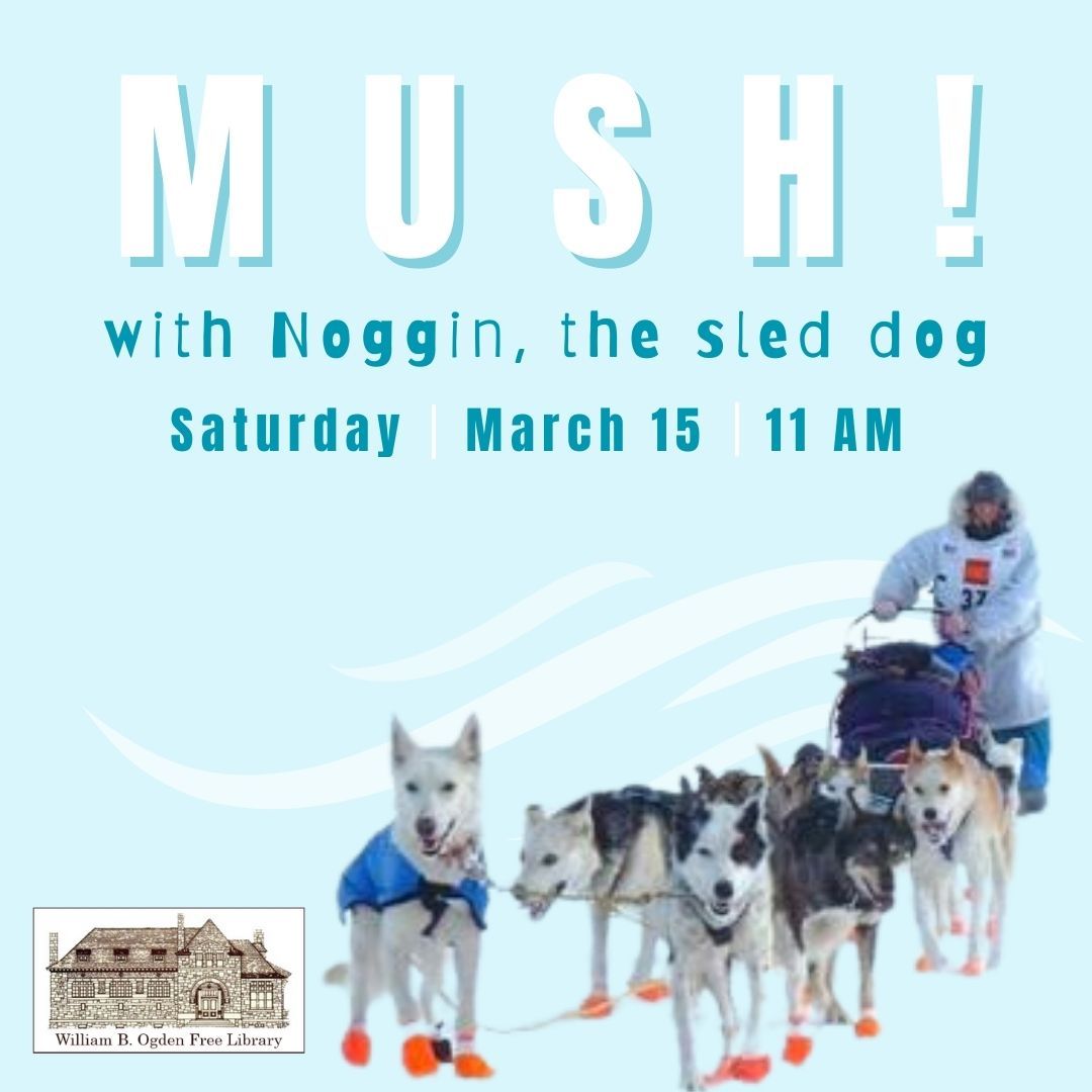 MUSH! with Noggin the sled dog (& her human)