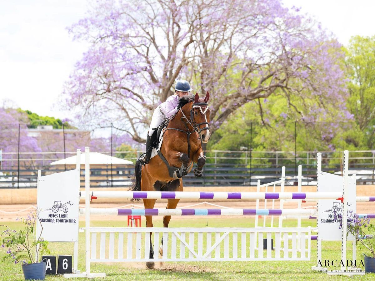 Jacaranda weekend of Showjumping 