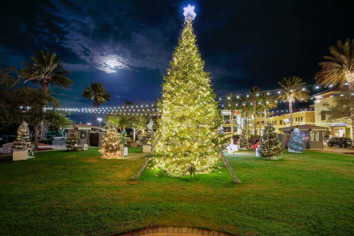 Festival of Trees in Grand Park