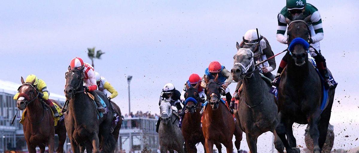 Breeders Cup - Saturday at Del Mar Fairgrounds
