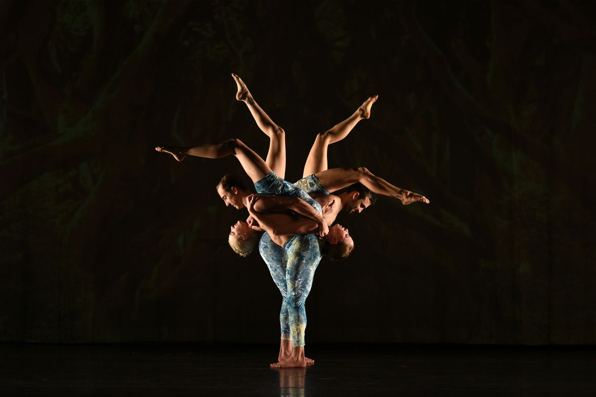 Momix presents Alice