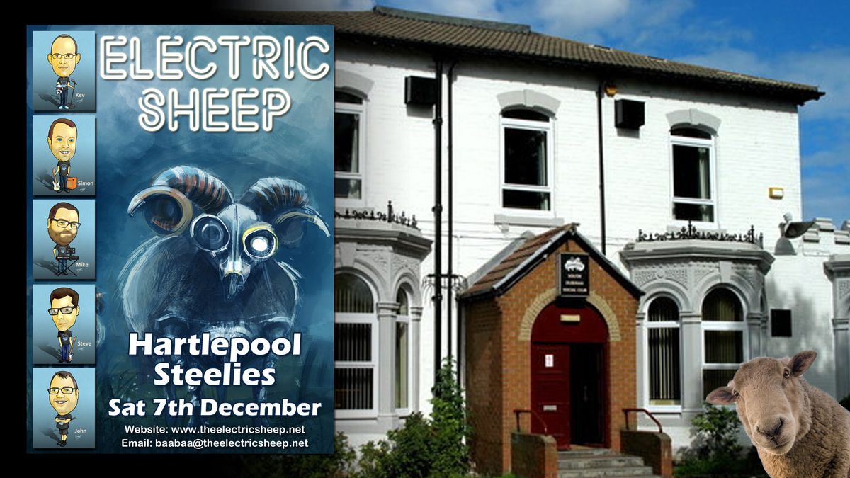 Electric Sheep at Hartlepool Steelworks Club