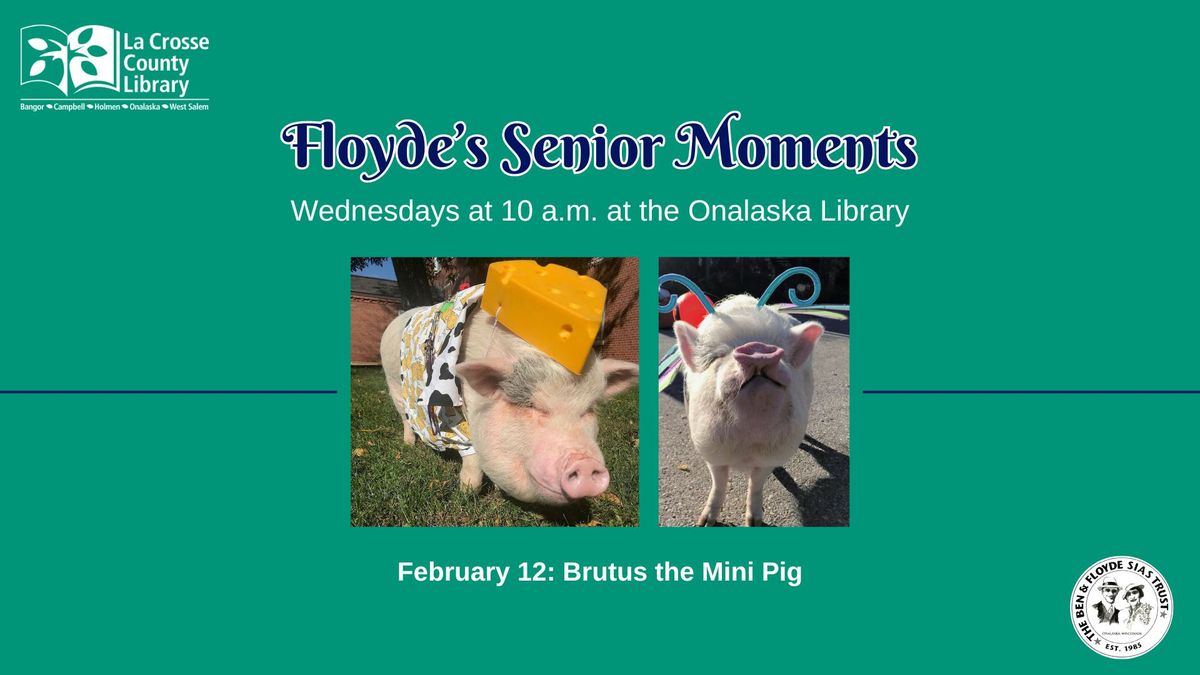 Floyde's Senior Moments: Brutus the Mini Pig