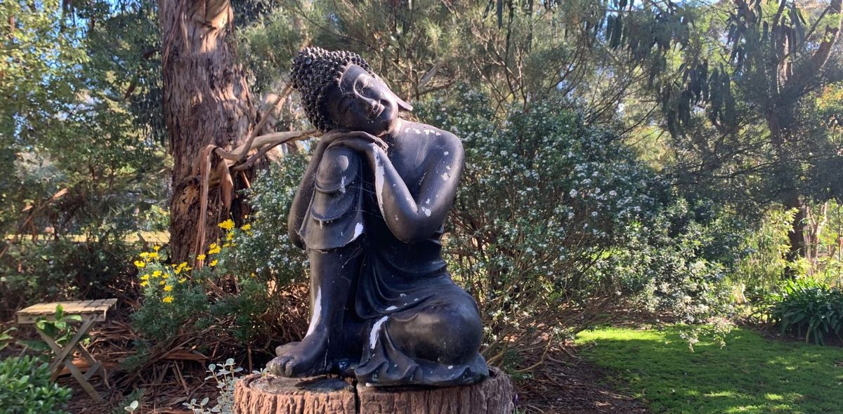 Meditation and Mindfulness at Balnarring (Term 4)