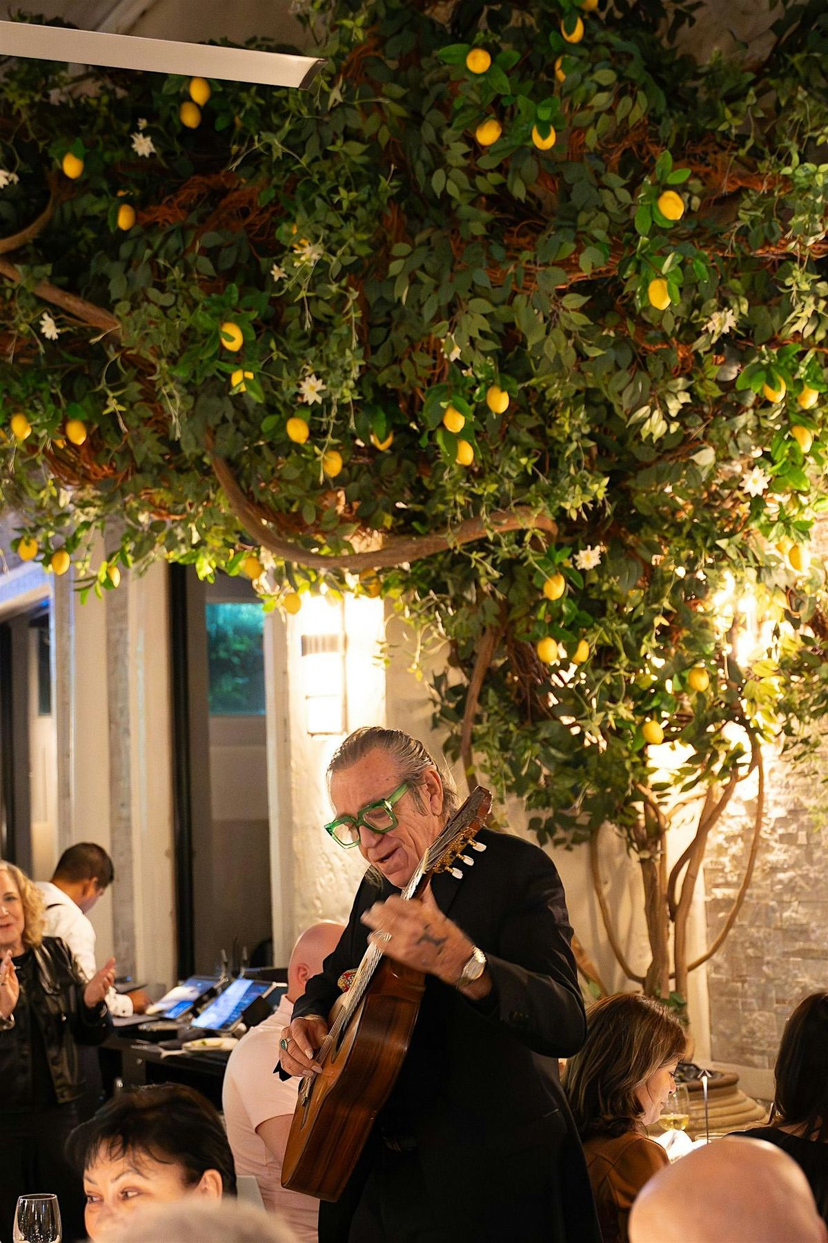 Alex Fox\u2019s Live Performance at Casalina!