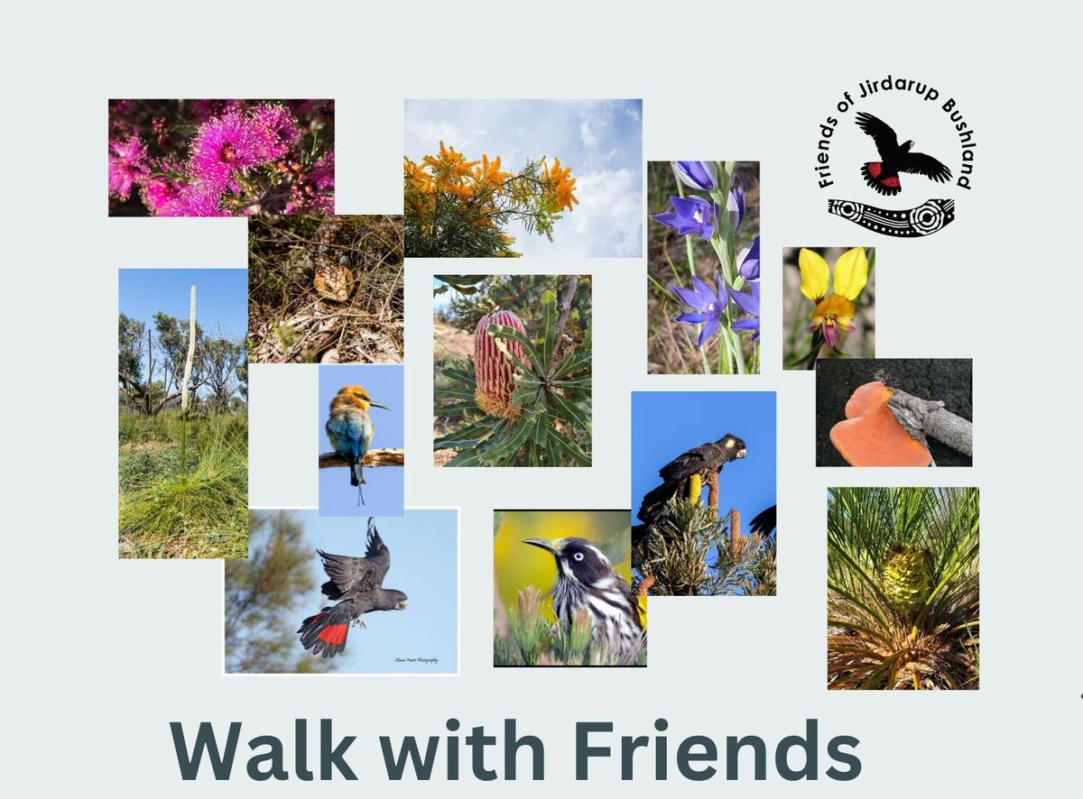 Walk with Friends: enjoy a casual guided walk through Jirdarup on a Sunday morning.