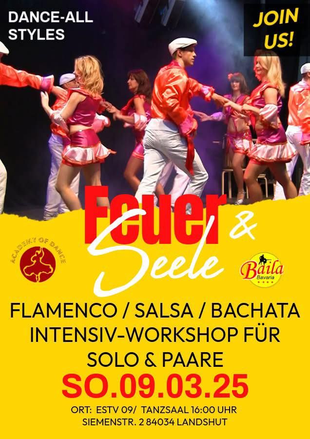 \u00a1Feuer & Seele! Bachata, Salsa & Flamenco Intensiv-Workshop in Landshut