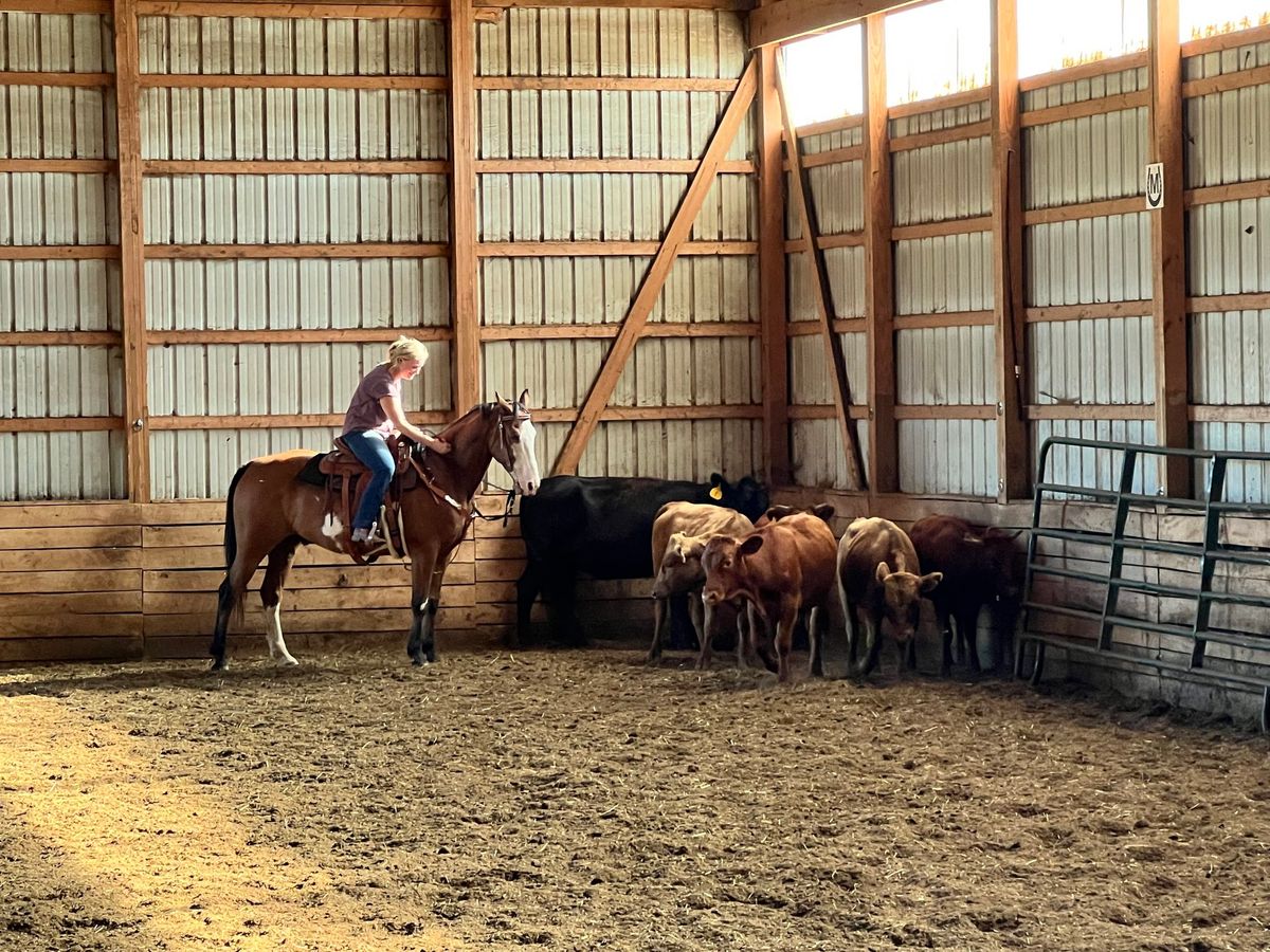 Intro to Cattle Mini-Clinic: Dec 2024