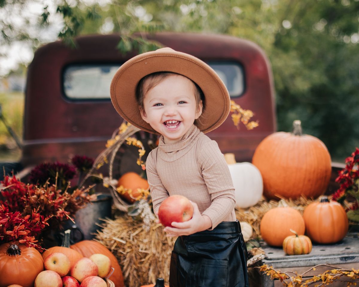 Pumpkin Patch Minis