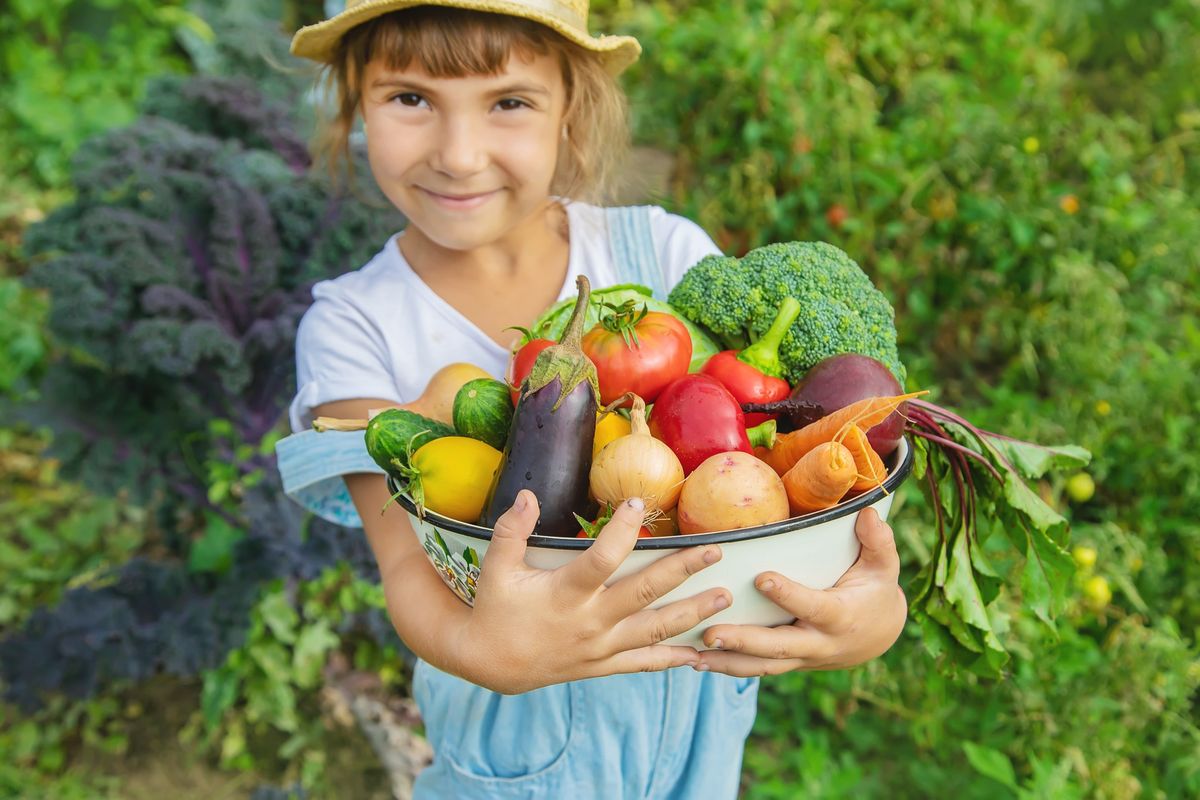 Children's Mini Food Fair