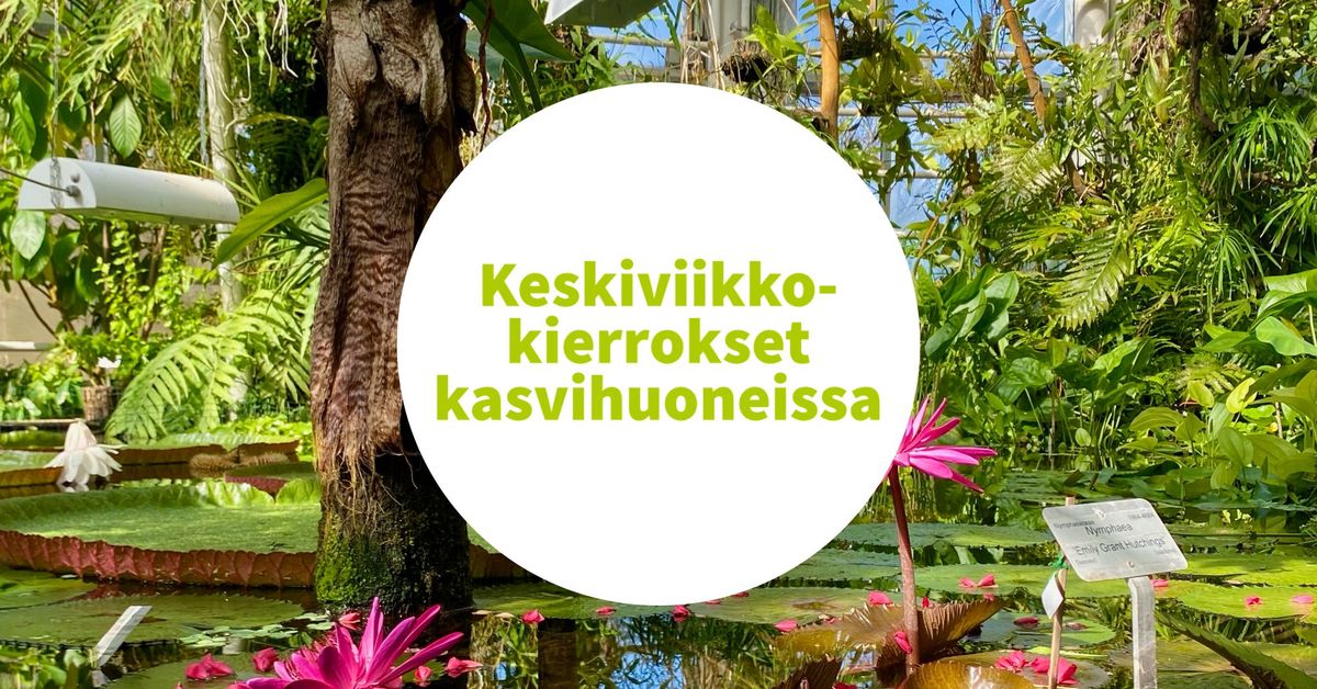 Keskiviikkokierros - Rakkauden kasvit