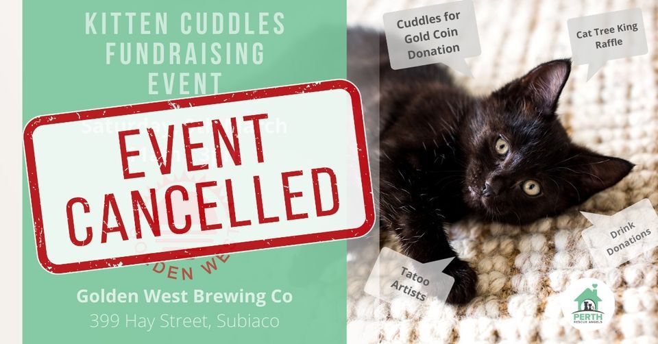 Kitten Cuddles Fundraising Event at Golden West Brewing Co | 9th March 