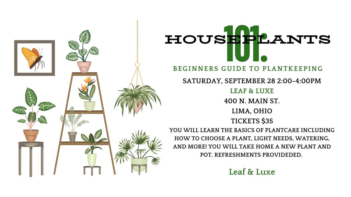 Houseplants 101: A Beginners Guide to Plantkeeping