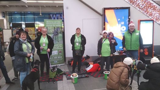 Charity Collection - Birmingham New Street Station in Aid of Greyhound Trust Hall Green