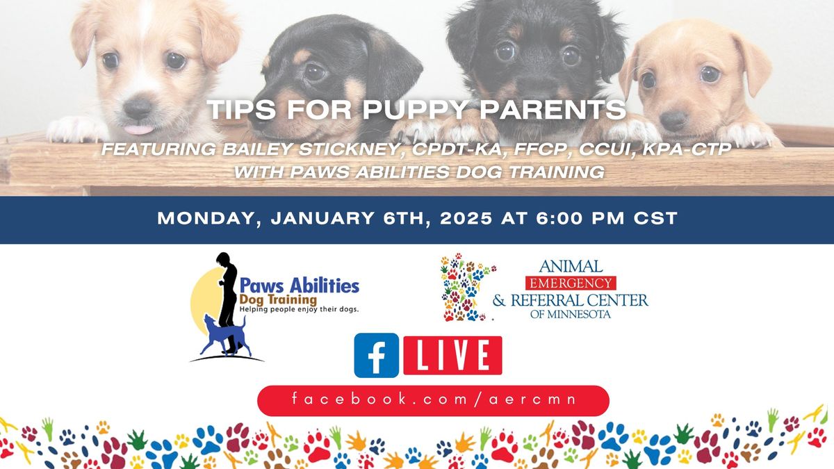 Tips for Puppy Parents {Facebook Live}