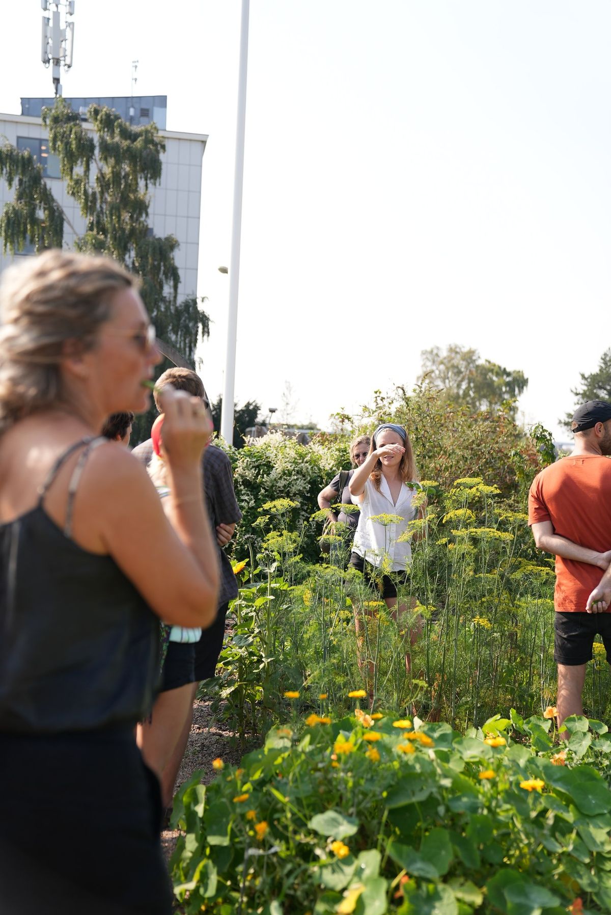 Workshop: Spiselig plantel\u00e6re \/ Edible Plant Theory at \u00d8ens Have