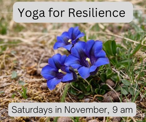 Yoga for Resilience