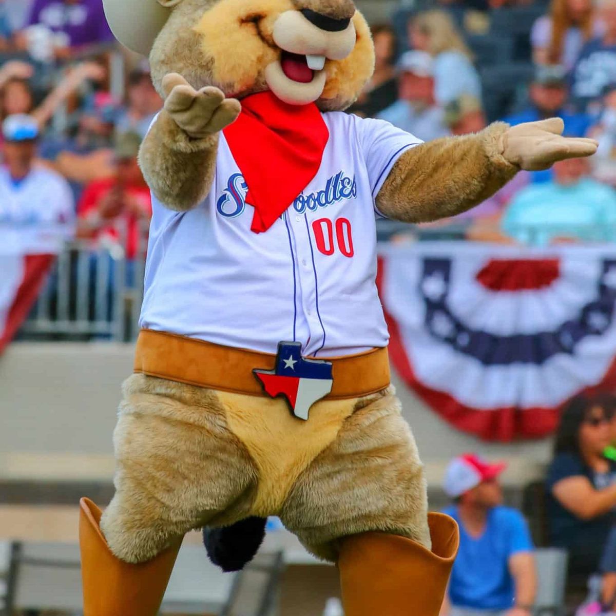 Amarillo Sod Poodles at Midland RockHounds at Scharbauer Sports Complex - Momentum Bank Ballpark