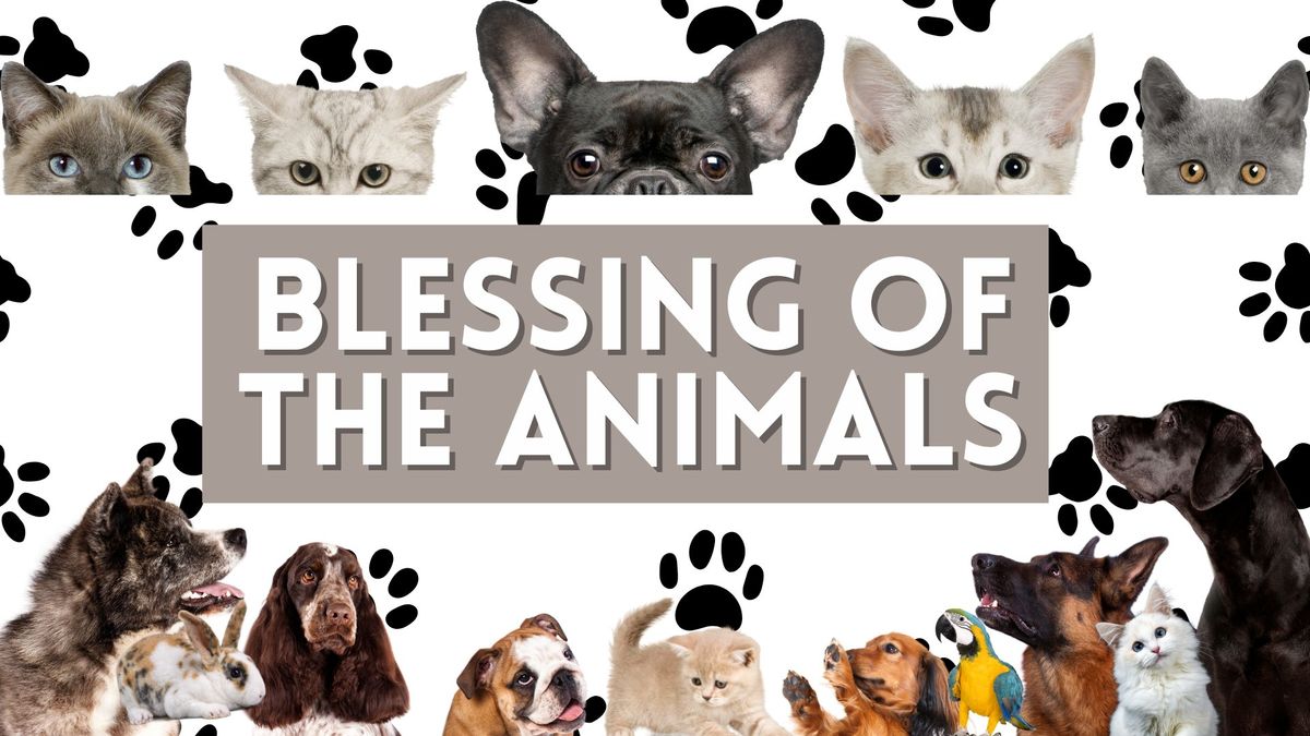 Blessing of the Animals