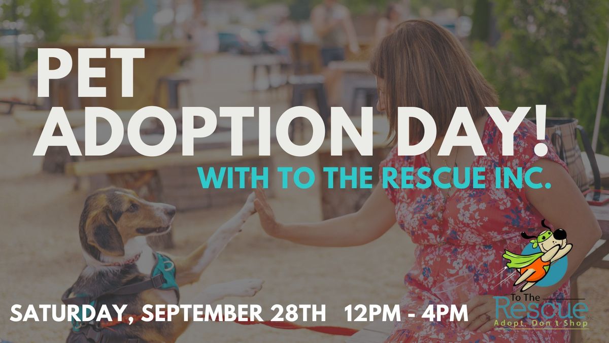 Pet Adoption Day with To The Rescue Inc.!