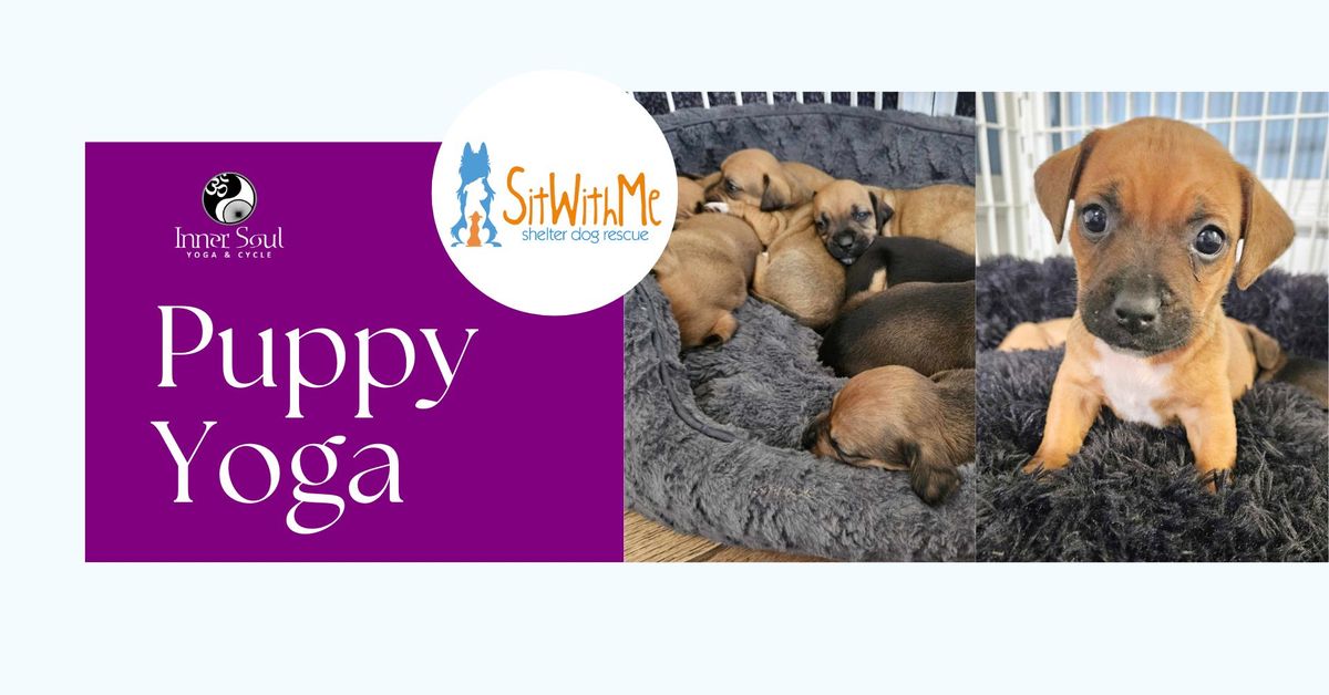 Puppy Yoga Donation Classes with Sit With Me