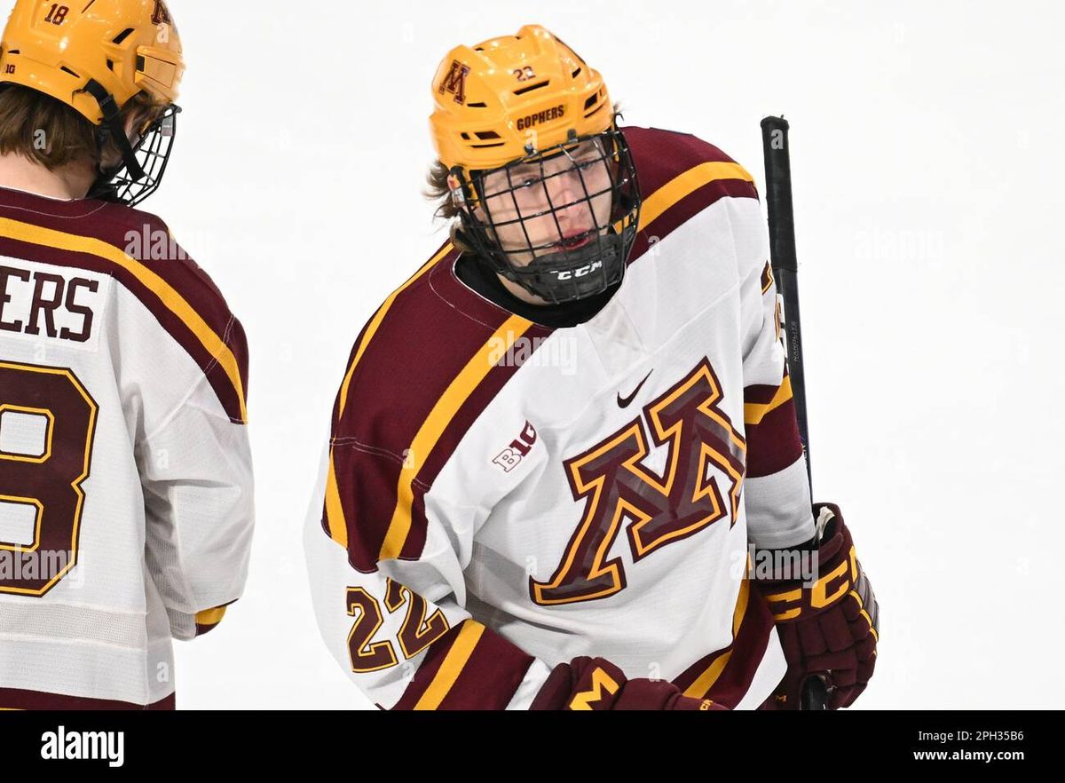 St. Cloud State Huskies at Minnesota Golden Gophers Womens Hockey