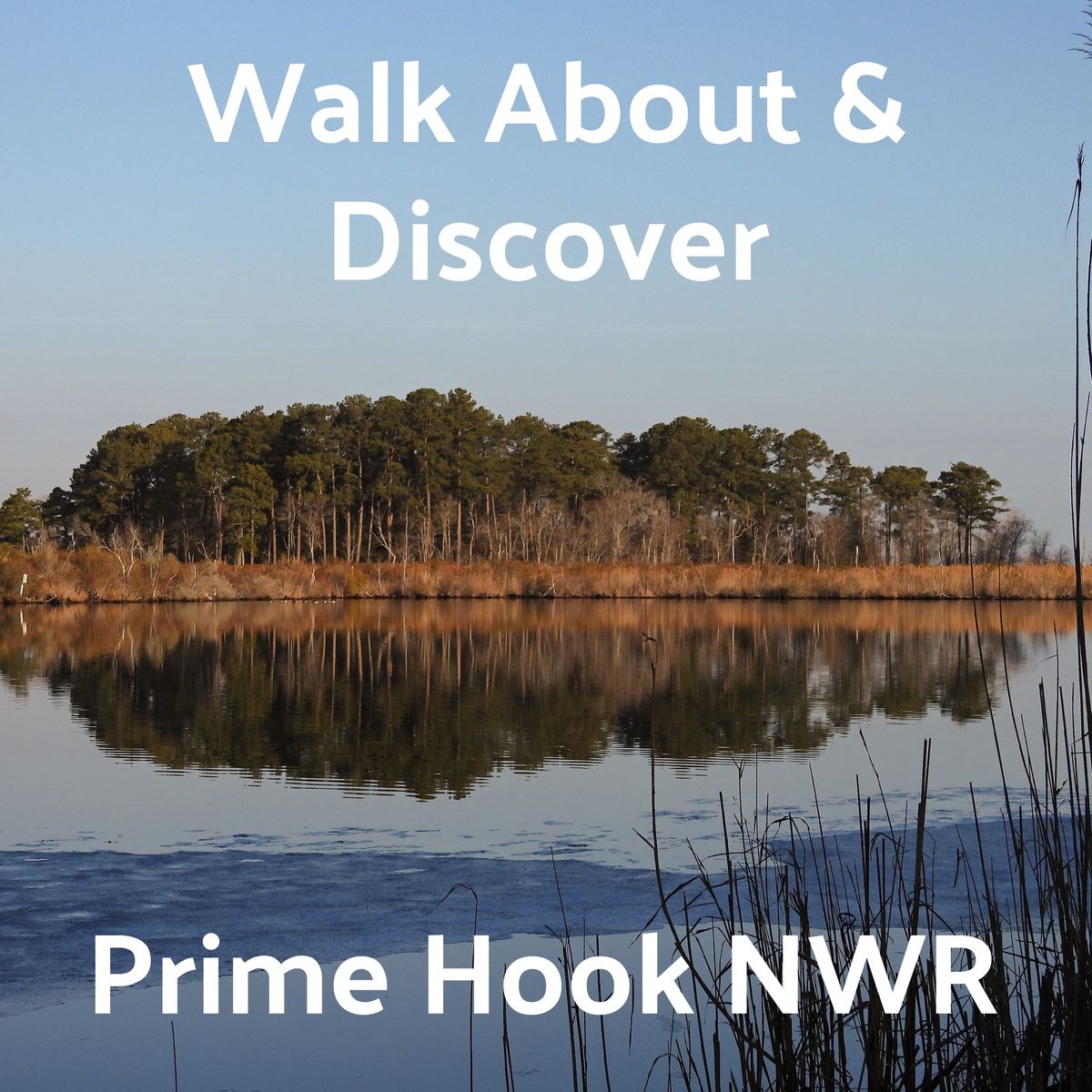 Walk About and Discover Prime Hook