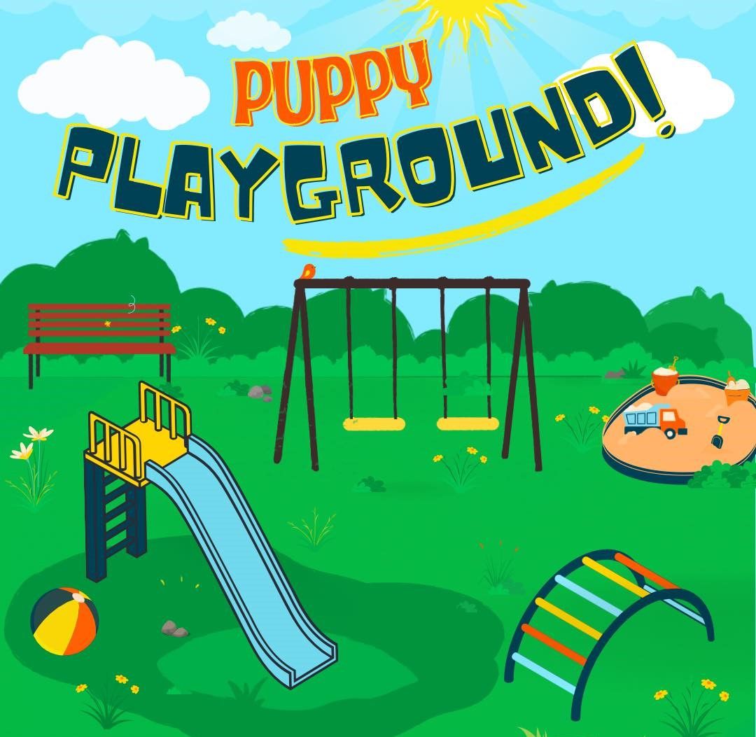 Fun Fridays - Puppy Playground