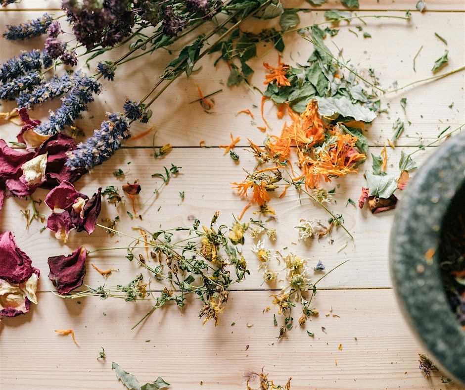 Build Your Home Apothecary: Three Workshops in Herbal Crafting
