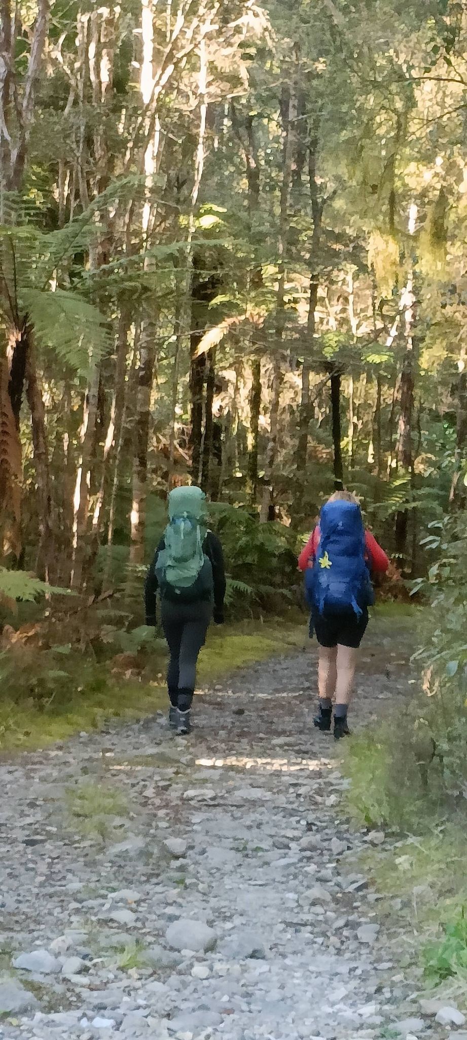 Shuttle Service to Heaphy Track