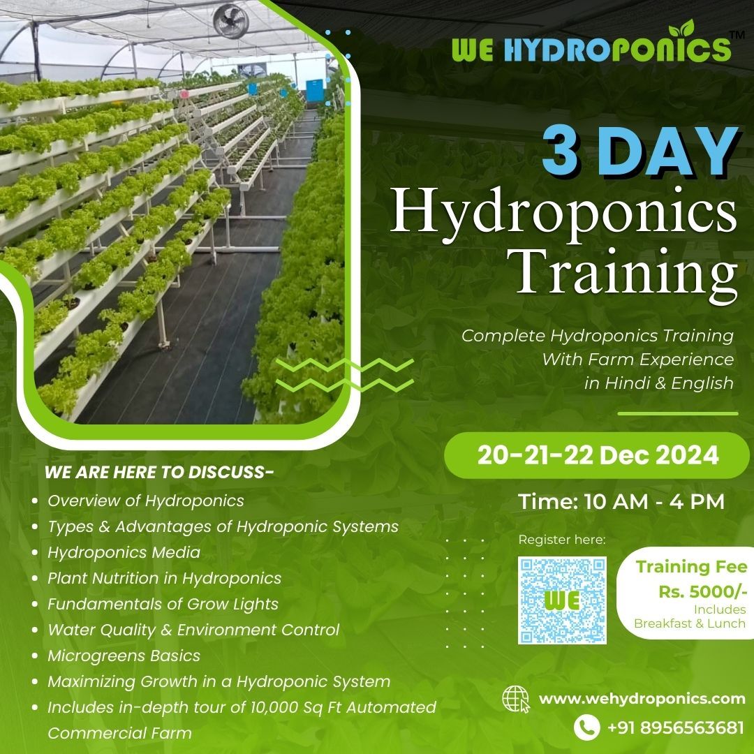 Join WE for Hydroponic Training!