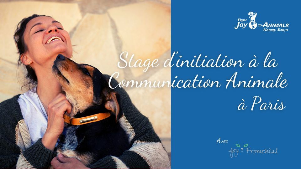 Stage d'initiation \u00e0 la Communication Animale \u00e0 Paris