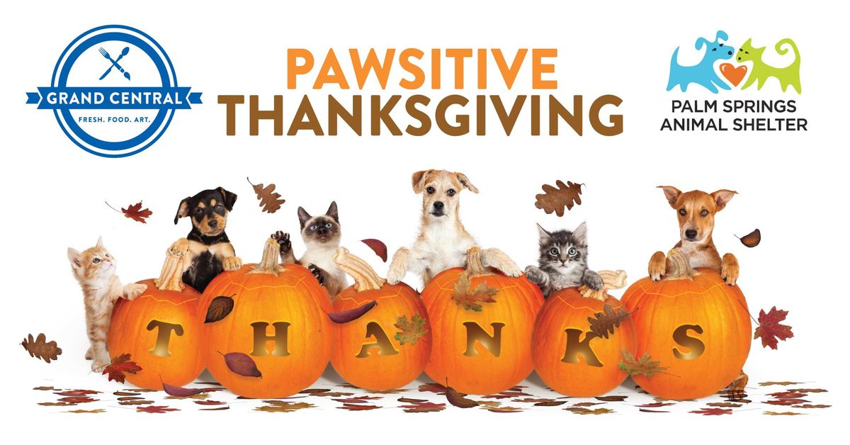 PAWSITIVE THANKSGIVING