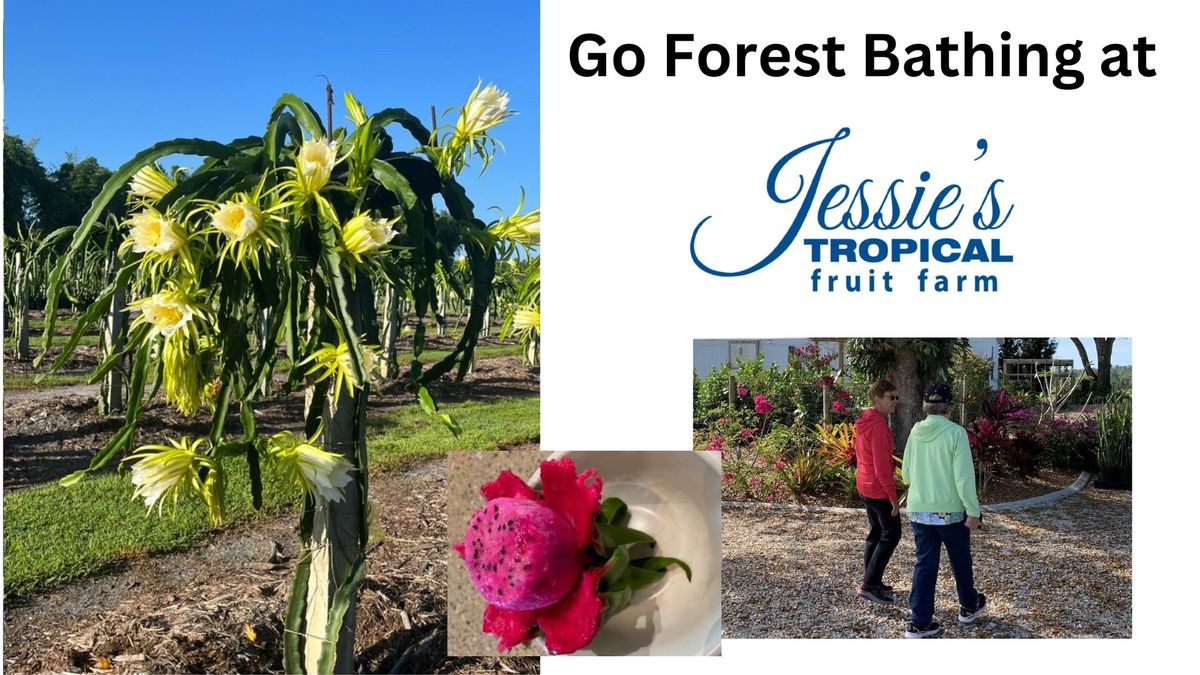 Forest Bathing at Jessie's Tropical Fruit Farm