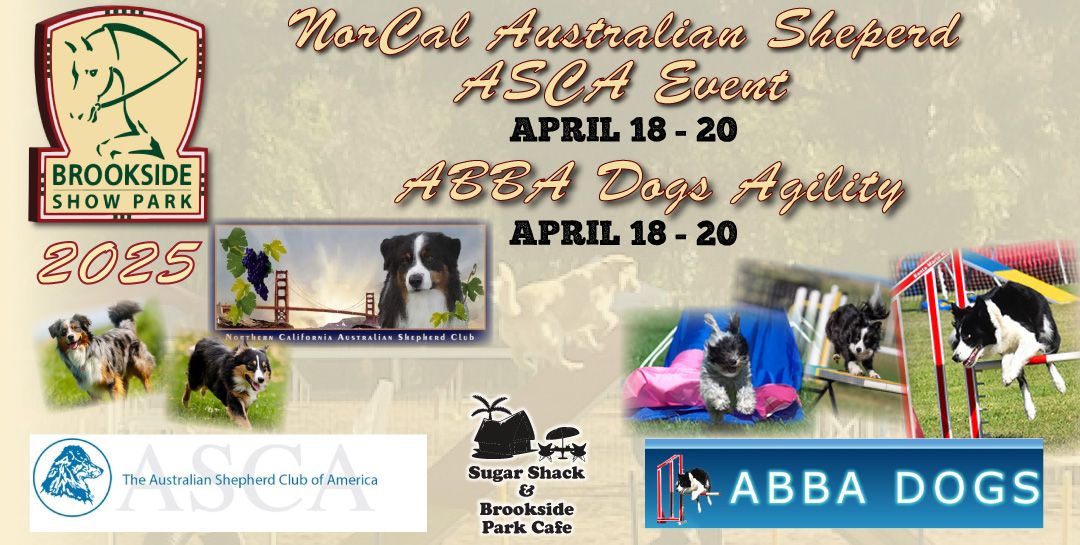 NorCal Australian Sheperd ASCA Event & ABBA Dogs Agility Event