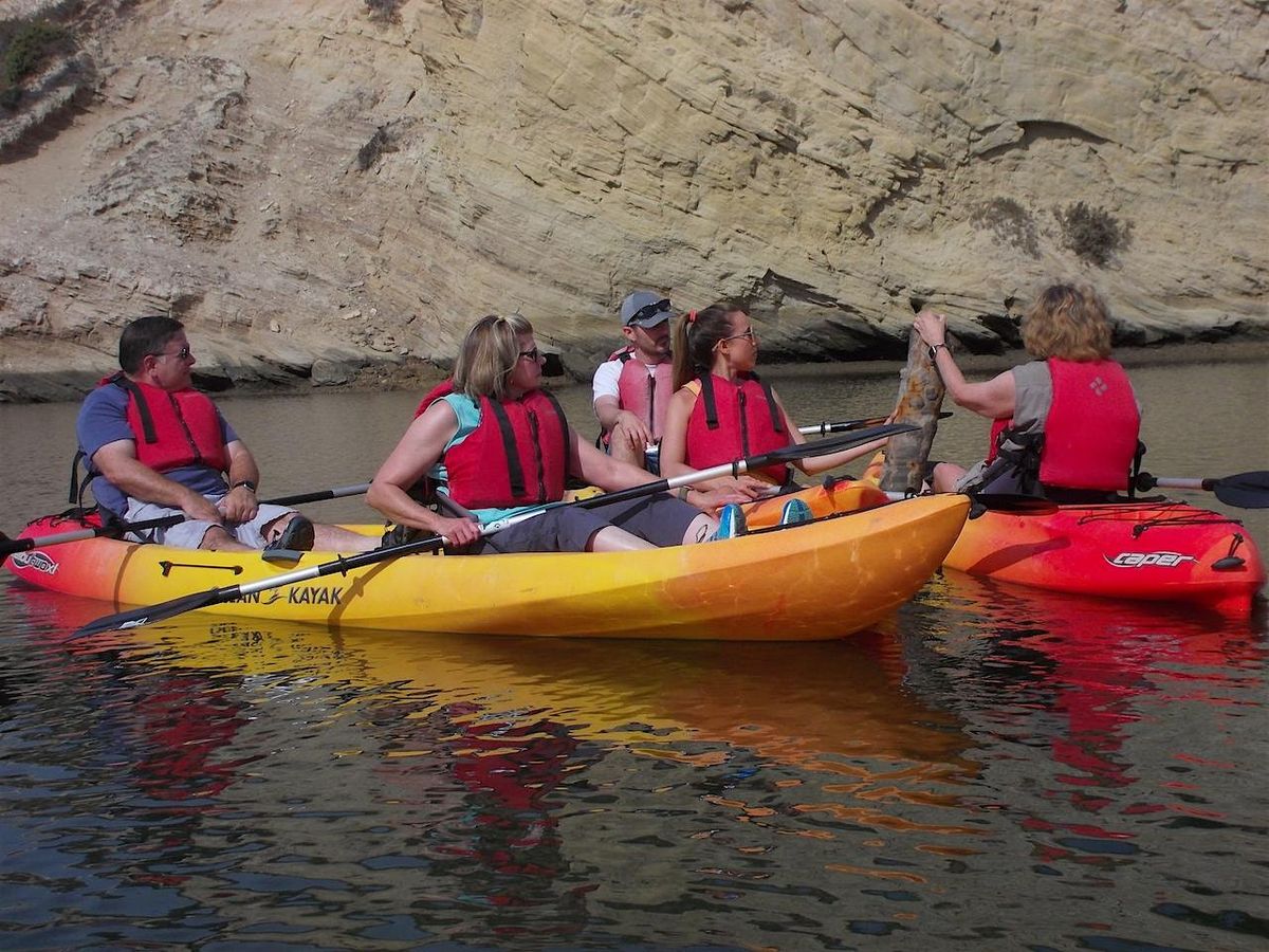 Discover Upper Newport Bay Kayak Tour