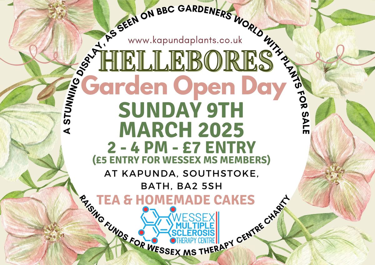 Hellebores Garden Open Day