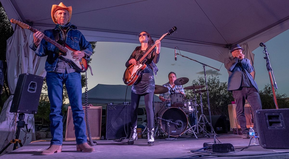 Delta Sonics Blues Duo Live from Woods Boss Brewing