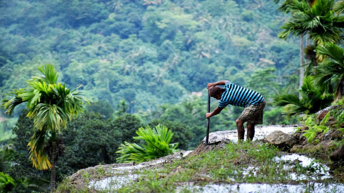 Heeloya Village Camping and Pettigala Climb 