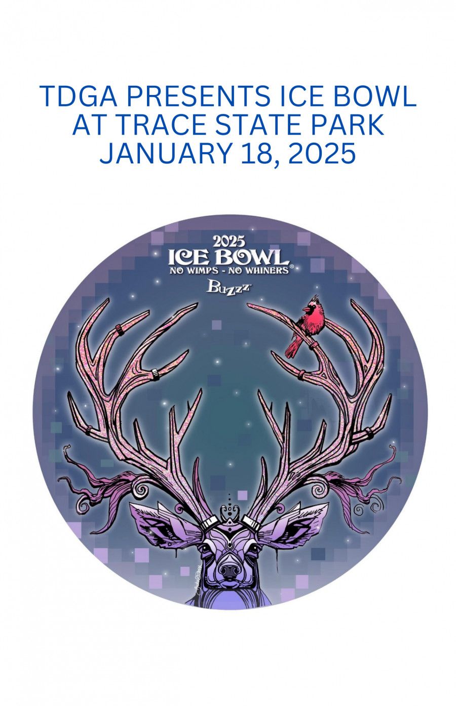 Trace State Park Ice Bowl Disc Golf Tournament