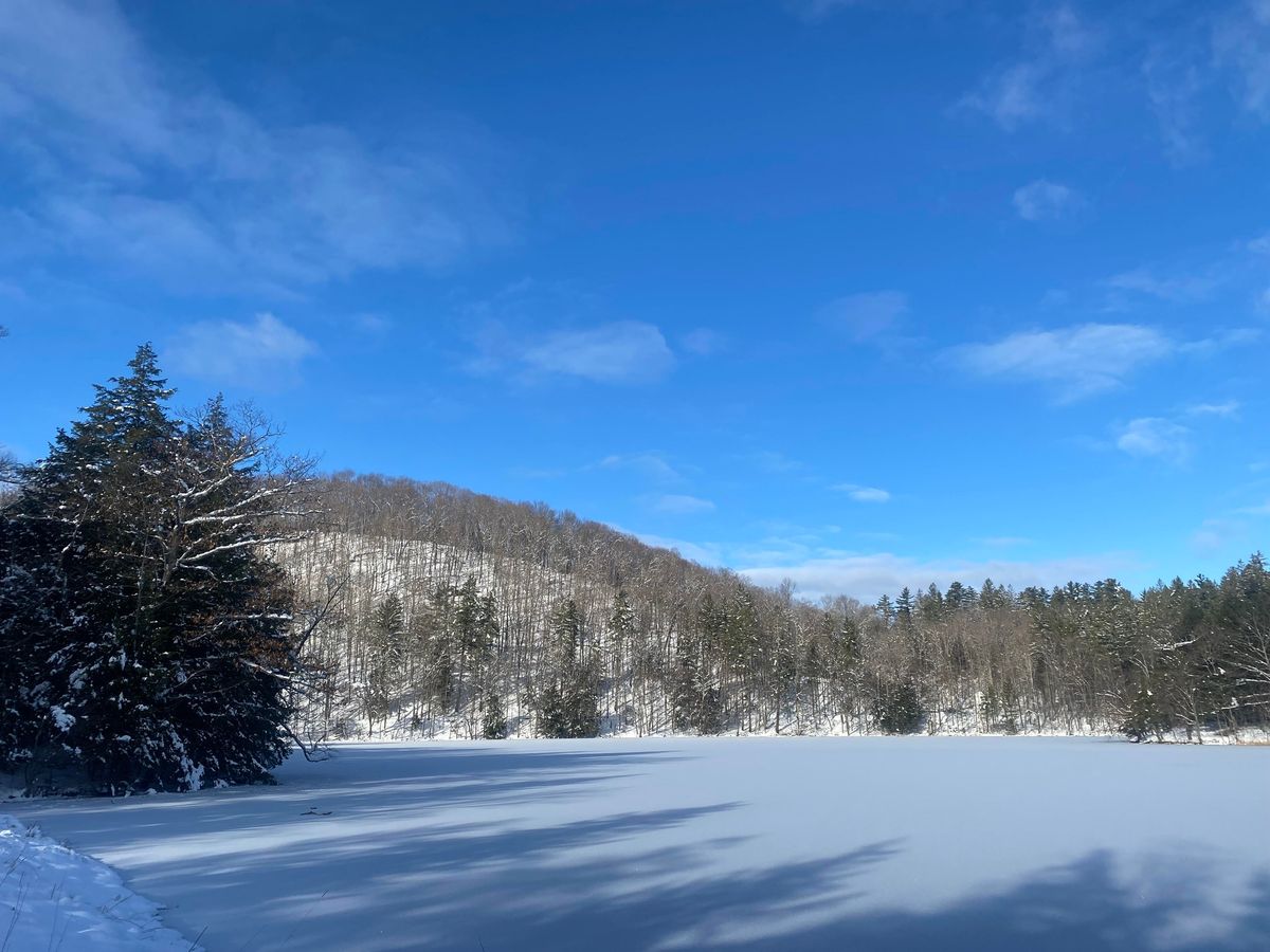 Winter Naturalist Series -Cross-country (Nordic) Ski