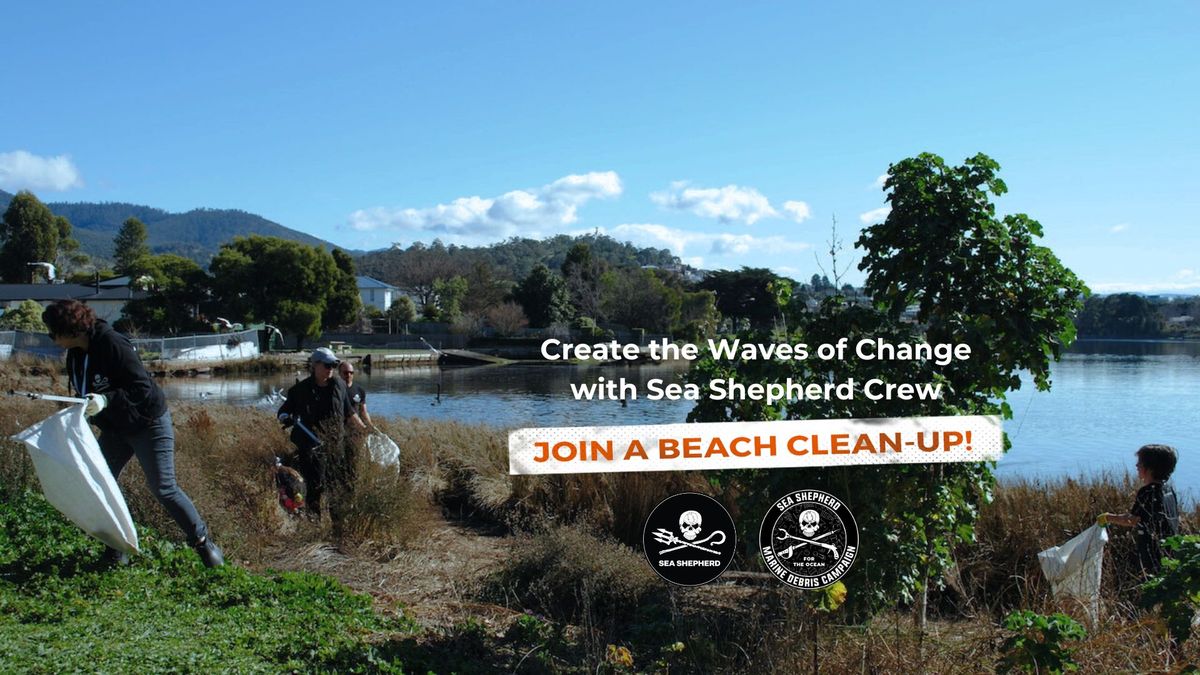 Berriedale, TAS: Berriedale Bay Reserve Clean-up: Marine Debris Campaign