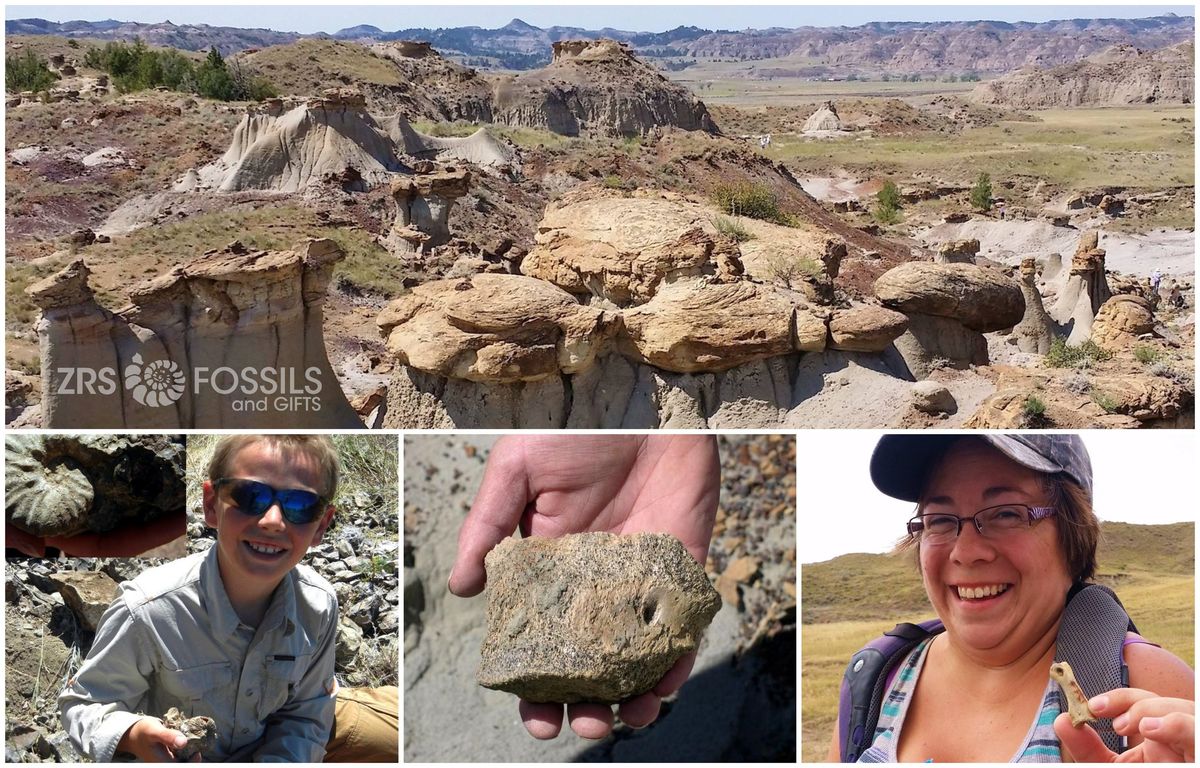 Join ZRS for Fossil Collecting in Montana this summer!